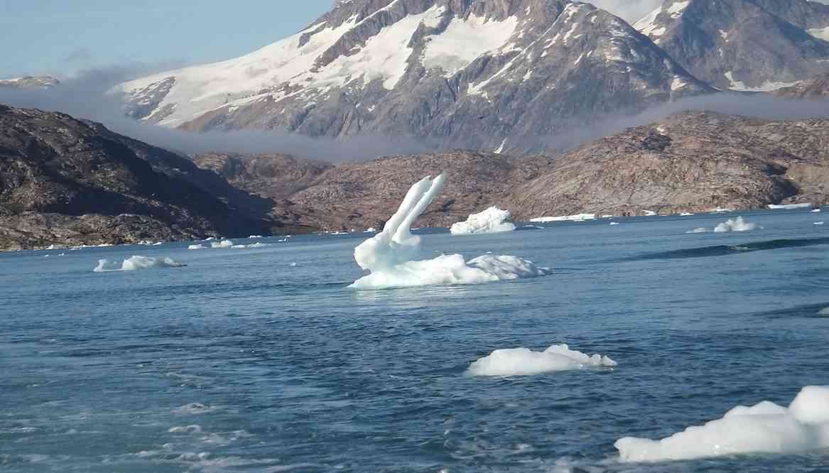 Lapin de glace, le 16 juillet 2017